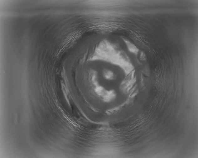 X0000051240742200507082124