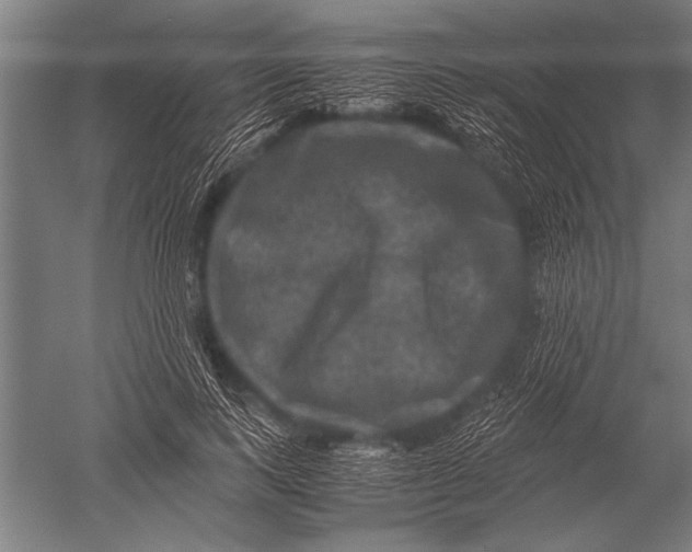 X0000051240743200507082124