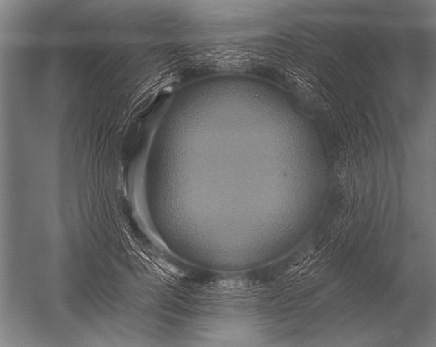 X0000051240744200507082124