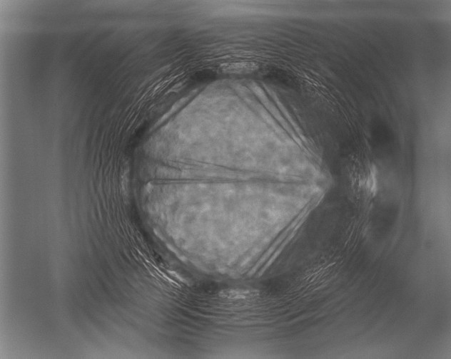 X0000051240745200507082124