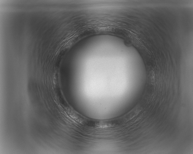 X0000051240746200507082124