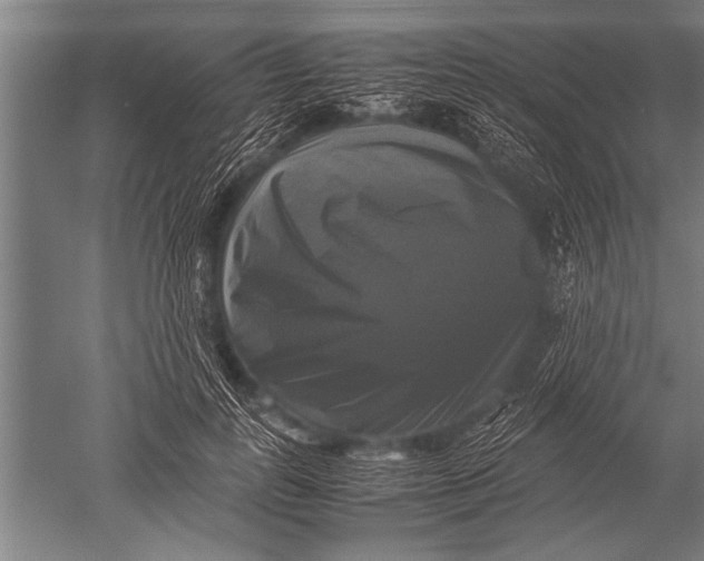 X0000051240747200507082124