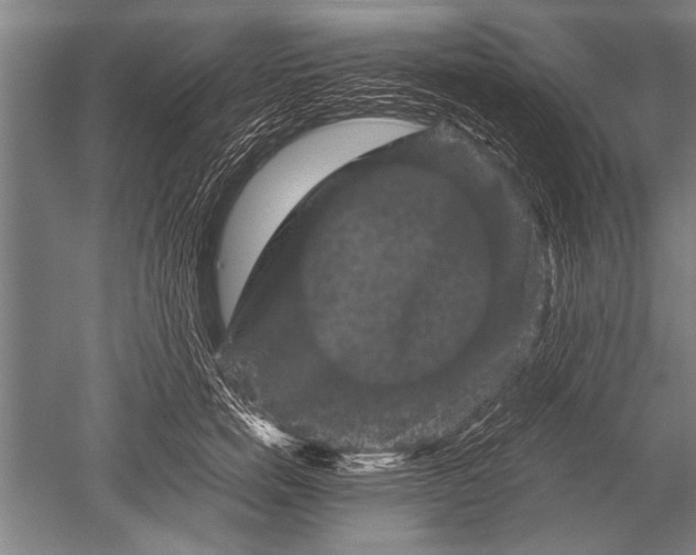 X0000051240750200507082124