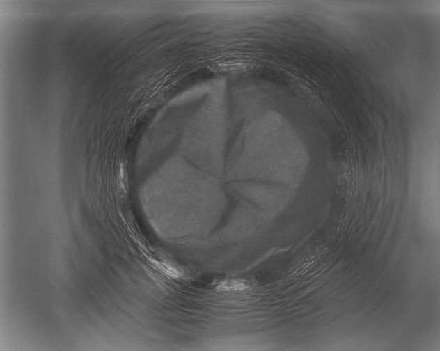 X0000051240751200507082124