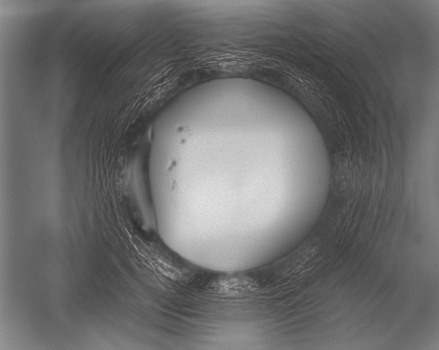 X0000051240752200507082124