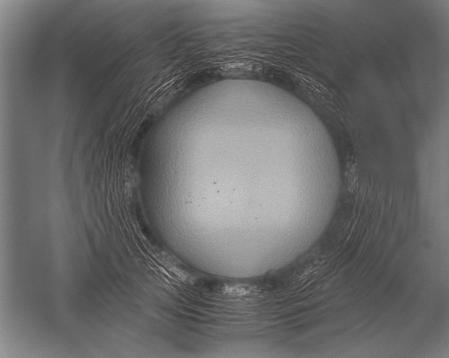 X0000051240753200507082124