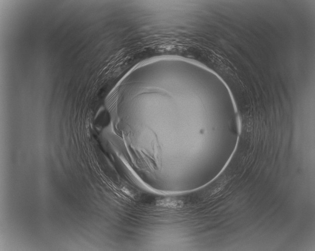 X0000051240754200507082124