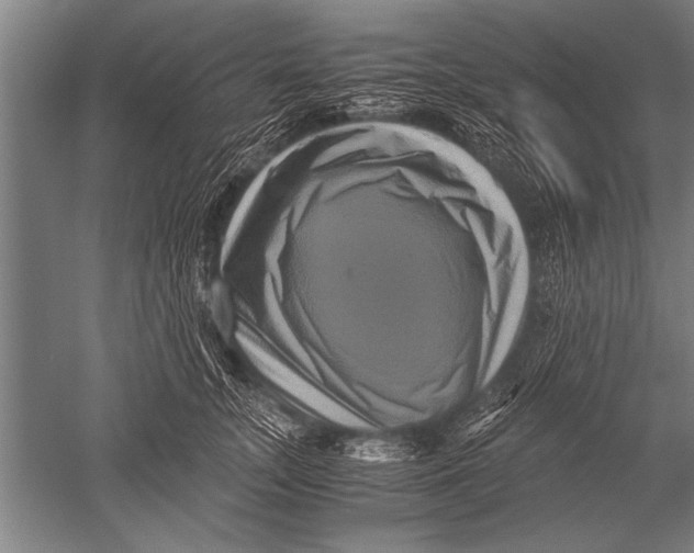 X0000051240755200507082124