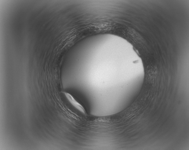 X0000051240756200507082124