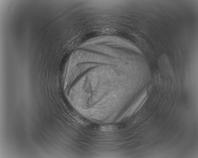 X0000051240757200507082124