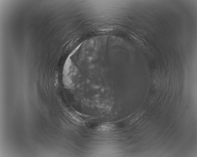 X0000051240758200507082124