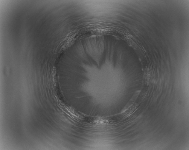 X0000051240760200507082124