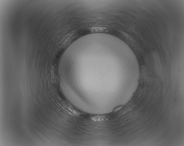 X0000051240761200507082124