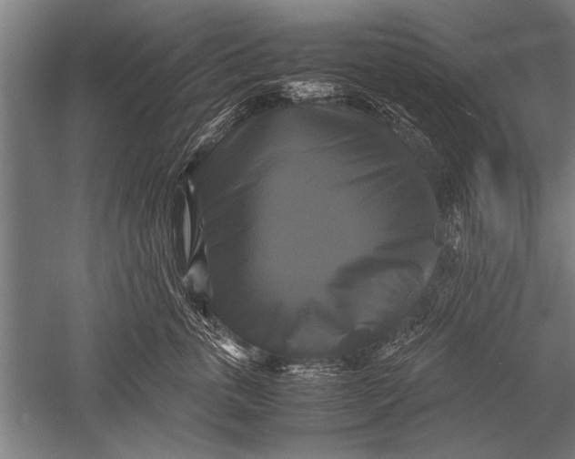 X0000051240763200507082124