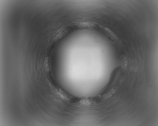 X0000051240764200507082124