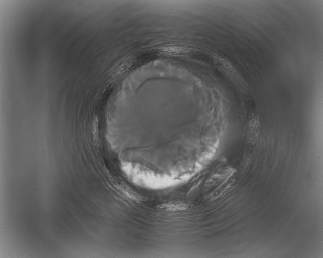 X0000051240765200507082124