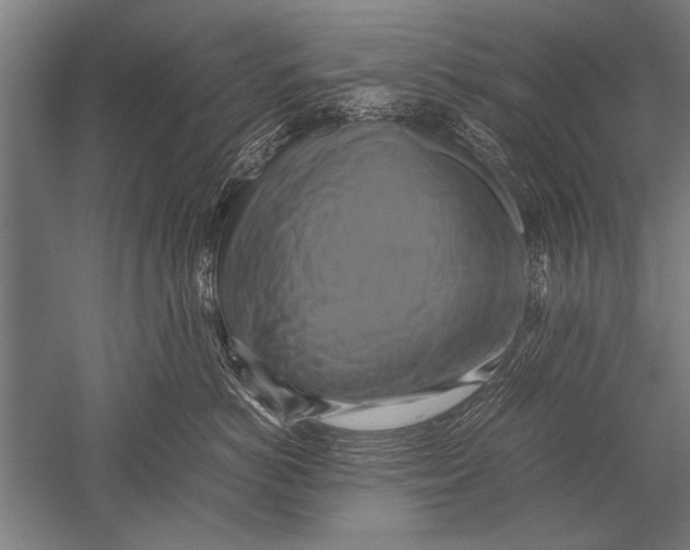 X0000051240766200507082124