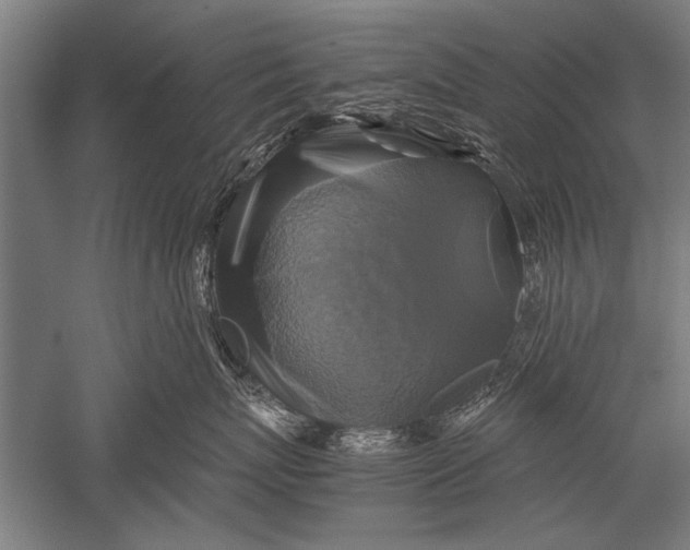 X0000051240767200507082124