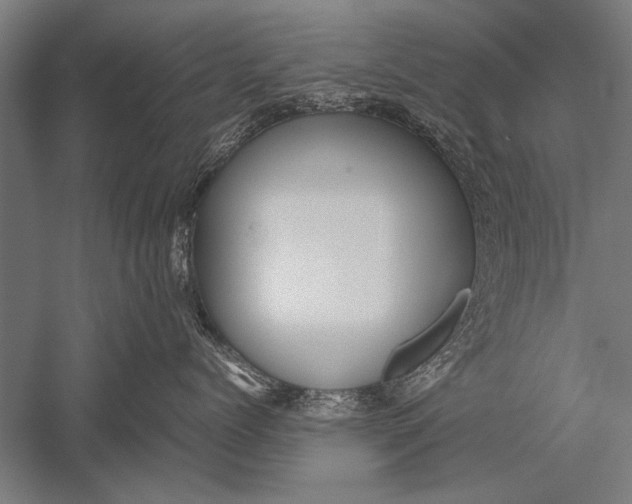 X0000051240768200507082124