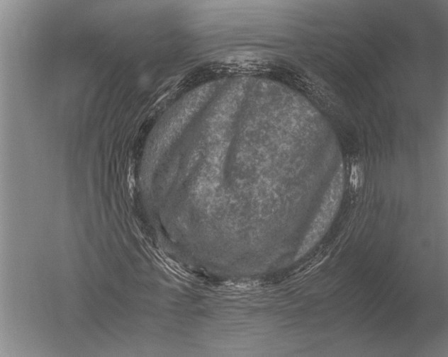 X0000051240771200507082123