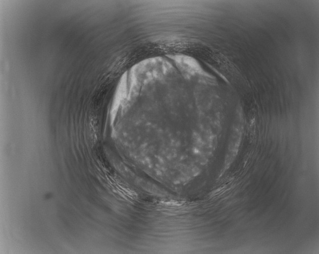 X0000051240772200507082123