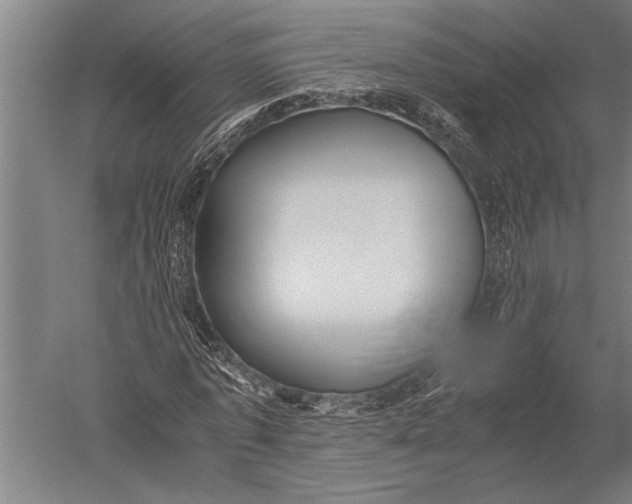 X0000051240773200507082123