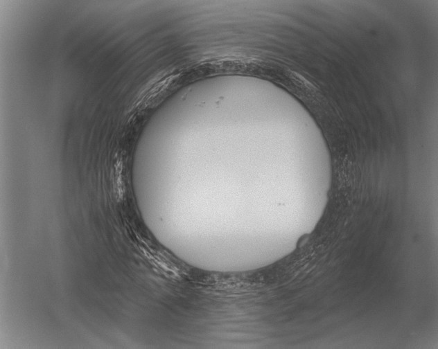 X0000051240774200507082123