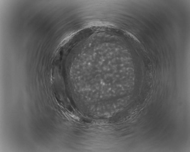 X0000051240775200507082123