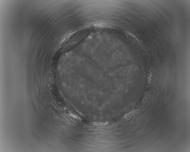 X0000051240776200507082123