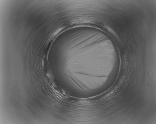 X0000051240777200507082123