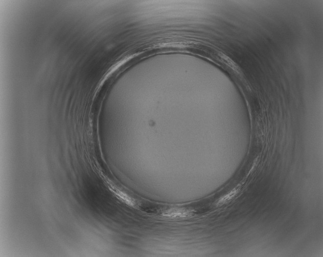 X0000051240779200507082123