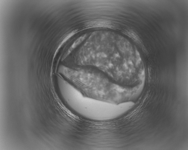 X0000051240780200507082123