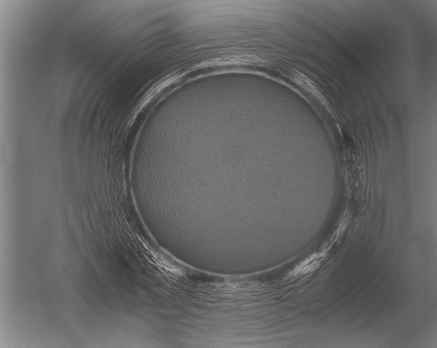 X0000051240781200507082123