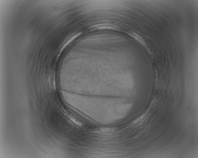 X0000051240782200507082123