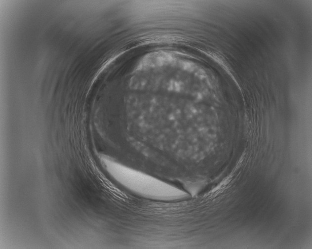 X0000051240783200507082123