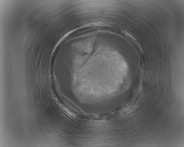 X0000051240784200507082123