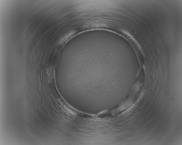 X0000051240785200507082123