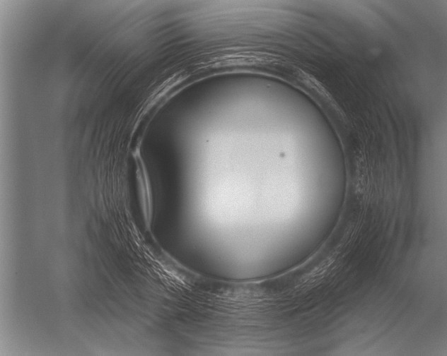 X0000051240786200507082123