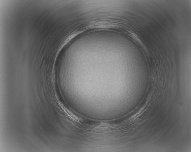 X0000051240787200507082123