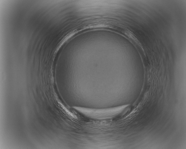 X0000051240789200507082123