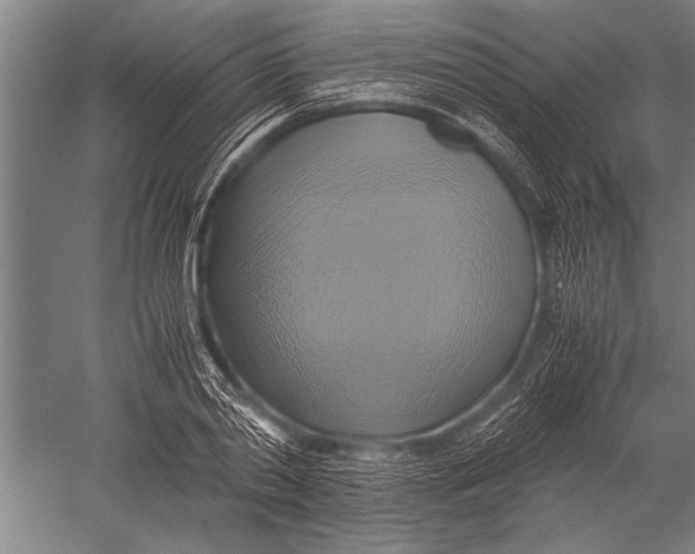 X0000051240790200507082123