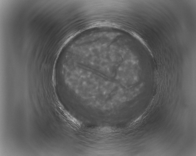 X0000051240791200507082123