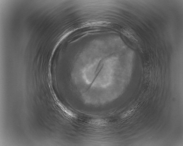 X0000051240792200507082123