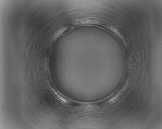 X0000051240793200507082123