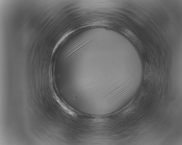 X0000051240796200507082123