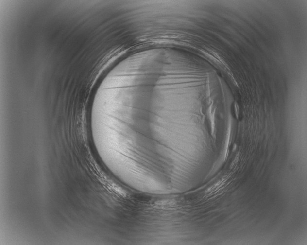 X0000051240798200507082123