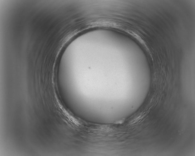 X0000051240799200507082123