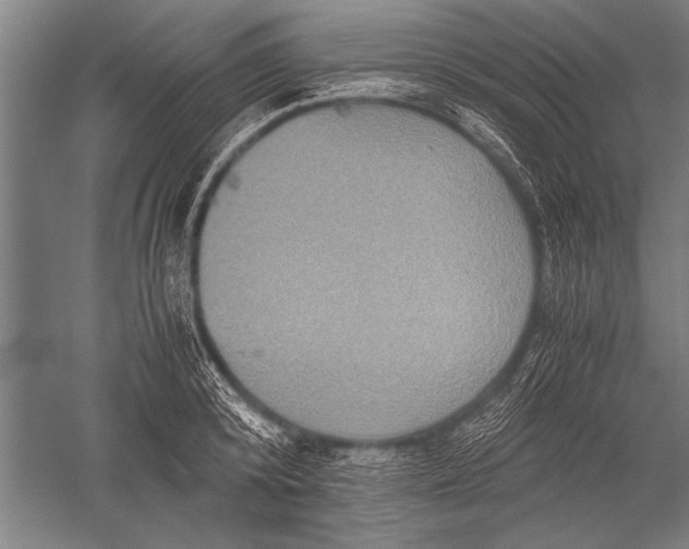 X0000051240800200507082123