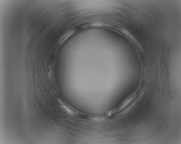 X0000051240801200507082123