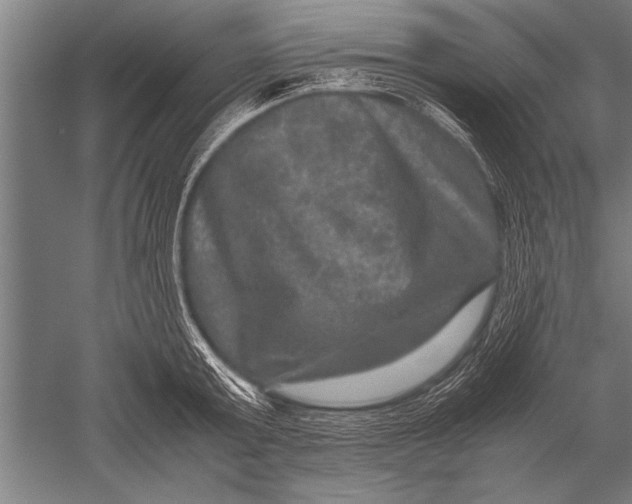 X0000051240803200507082123